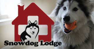 The Snowdog Lodge