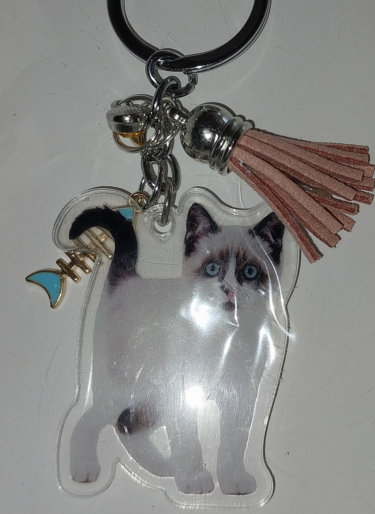 Image of Rag Doll Cat Key Chain