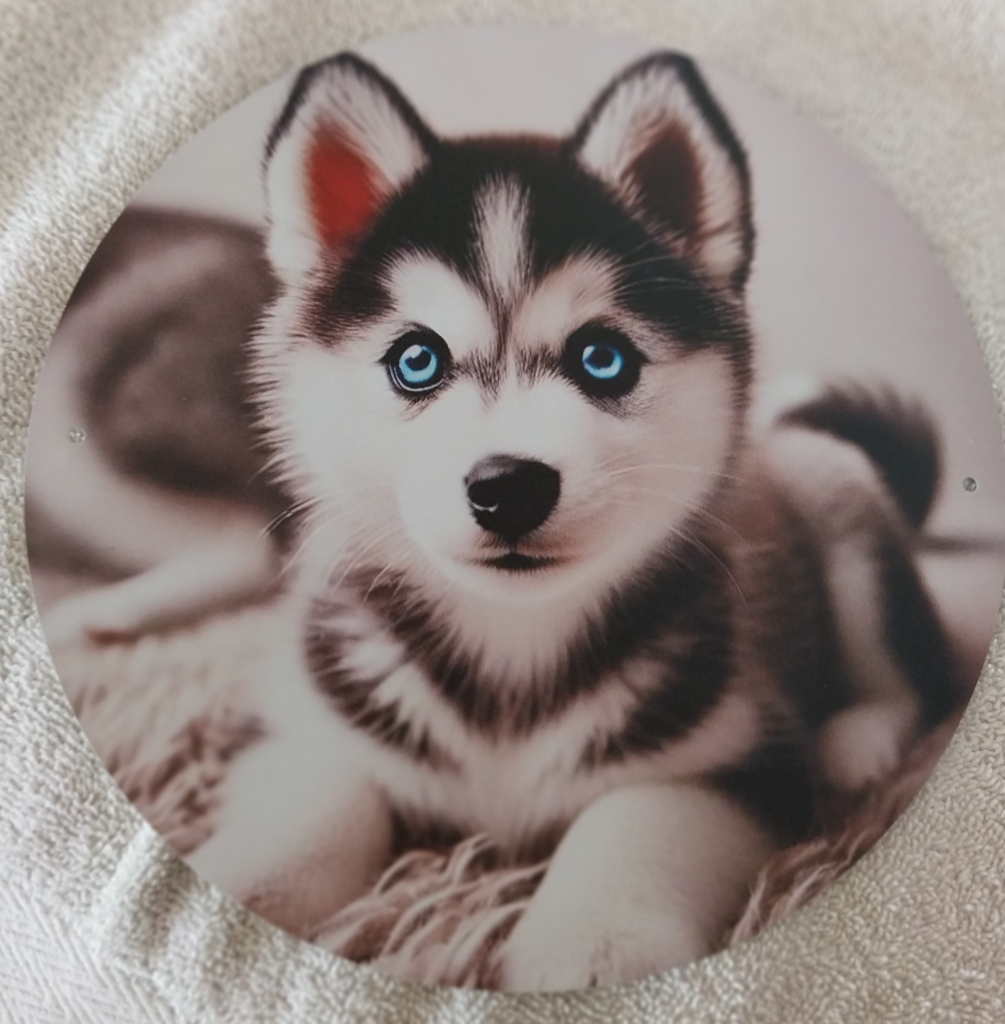 Image of Husky Puppy Tin Wall Hanging