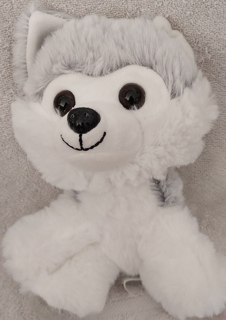 Image of Husky Stuffed Animal